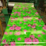 Wood Grain Printed 0.45mm Color Steel Coil PPGI