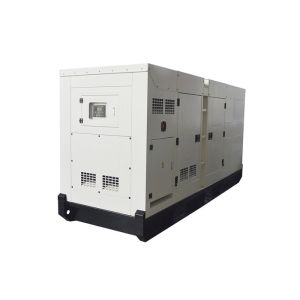 China 250kw Small Water Cooled Generator With Cummins Engine And ABB / SOCOMEC ATS factory