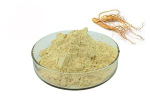 China 30% Ginsenosides Anti Aging Light Yellow Ginseng Extract Powder factory