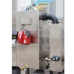 Vertical 300kg/H Gas Fired Steam Boiler generator High Pressure 0.7 Mpa