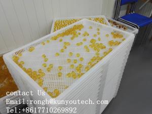 China Food Grade Large Plastic Trays For Drying Paintball / Softgel / Capsule With Certificate factory