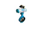 DD373H Stainless Steel Triple Ss 316 Eccentric Wafer Type Butterfly Valve