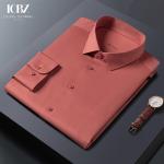 LCBZ Custom Embroidery Logo No Iron Business Mens Button down Long Sleeve Cotton