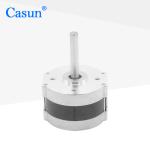 155mN.M NEMA 16 Stepper Motor For 3D Printer Engraving Machine Dc Stepping