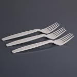 Plastic Disposable Fork Set 18CM Pla Tableware