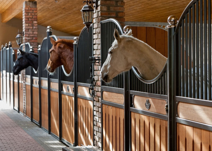 Customised Front Panel Wooden Horse Stable Wood Material Longlife Time
