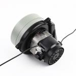 BLDC Powerful Small Servo Motor Dual For Electric Toothbrushes