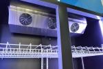Customized Double Door Frost Free Upright Fridge in Light Color Purple