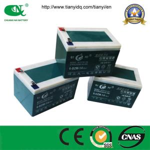 China 12V14ah Maintenance Free Battery Pack/VRLA Gel Battery for Electric Bicycle factory