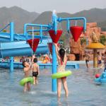 Colorful Carp Spray Park Equipment For Children / Kids in Water Park Fiberglass
