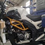 Three Wheel Petrol 350kg 250CC Cargo Tricycle