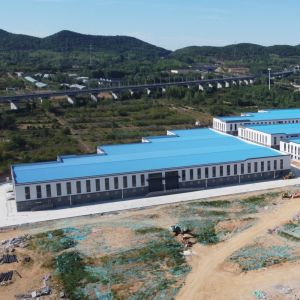 Prefab Steel Structure Warehouse with Large Span and Crane Support