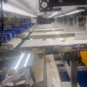 Multi-grade Walnut Kernel Sorting Machine With Intelligent High Output Durable