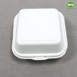 6 Inch (547ml) Biodegredable Sugarcane Clashmell -High Quality100% Biodegradable