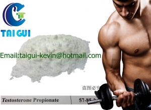 China Testosterone Propionate Test Propionate CAS NO:57-85-2 factory