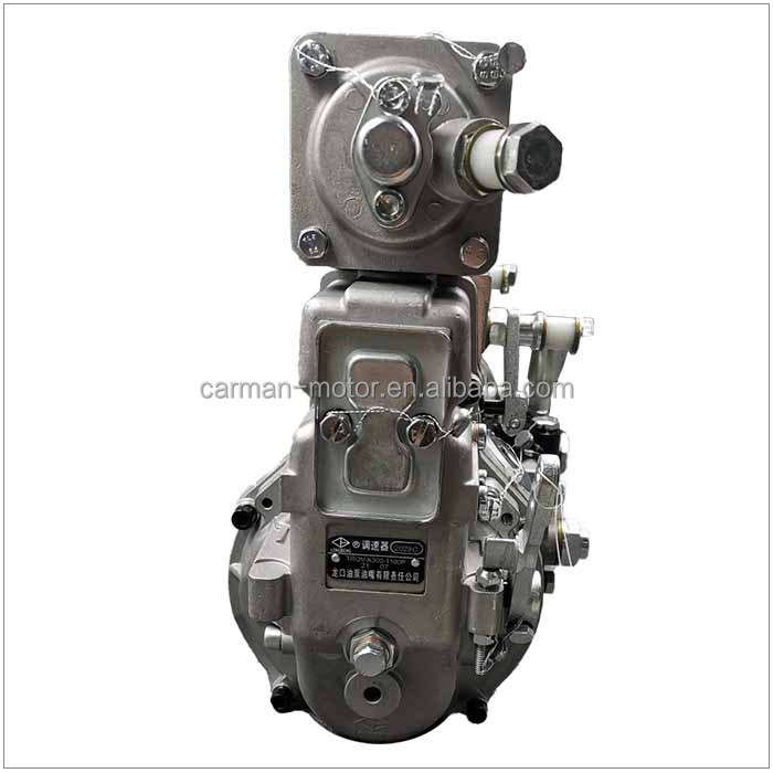 Replace/Repair BH6P120015 612600081236 Weichai WD618.336 High Pressure Fuel Injection Pump with Steel Material