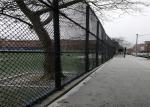 65x65 mm plastic pvc coated chain link wire mesh fence
