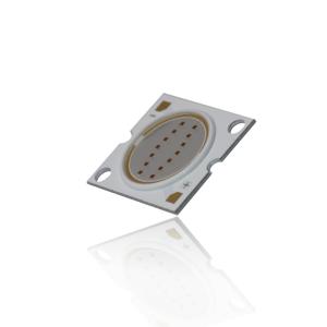 China CE RoHS R20mm LES LED COB Chips 23*25mm 30W LED Chip factory