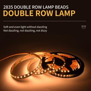China 12V 24V Dual Row SMD 2835 LED Strip Dual Color Safety Light Belt factory