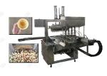 Ice Cream Cones Biscuit Making Machine in Indonesia Stainless Steel 304