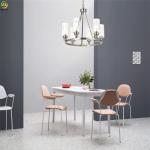 Iron pendant light Home Art Baking Paint Black LED Nordic Pendant Light