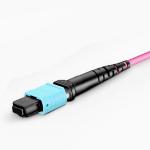 24 Way MPO MTP 40G 100G SFP OM4 Optic Fiber Patch Cord Violet 10M
