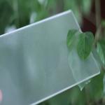 GP-010: Curved Shower Glass