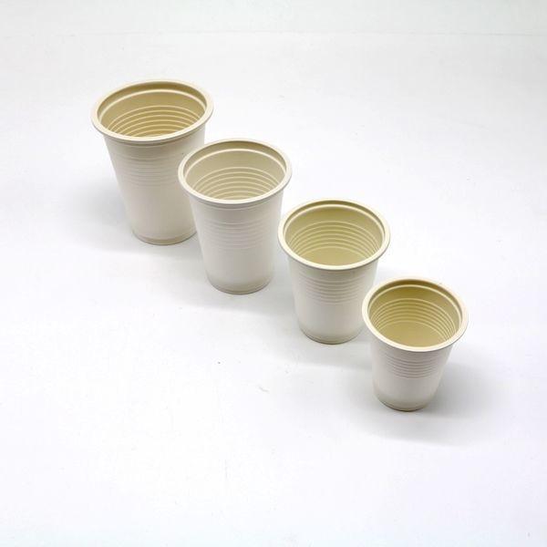 Eco Friendly Biodegradable Sugarcane Bagasse Plates for Hot and Cold Food