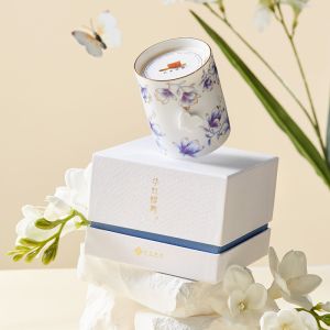 Customized Ceramic Wax Melt Burners in Various Shapes Sample Charge