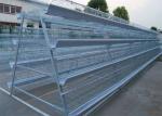 Laminated Egg Laying Chicken House