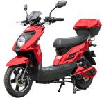 New Arrival Electric Motorbike 48V 500W Strong Power 800W Pedal Assist Electric