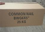 5" length 25kgs In Carton Galvanized Common Nails