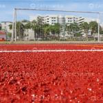 Prefabricated Rubber Track Prefabricated Outdoor Athletics Track Surface