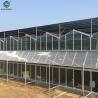 Buy cheap Agricultural Venlo Commercial Glass Greenhouse Width 9.6m With Hydroponic System from wholesalers