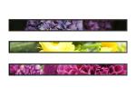 Network Stretched LCD Display 23.1 Inch For Supermarket Advertising Shelf
