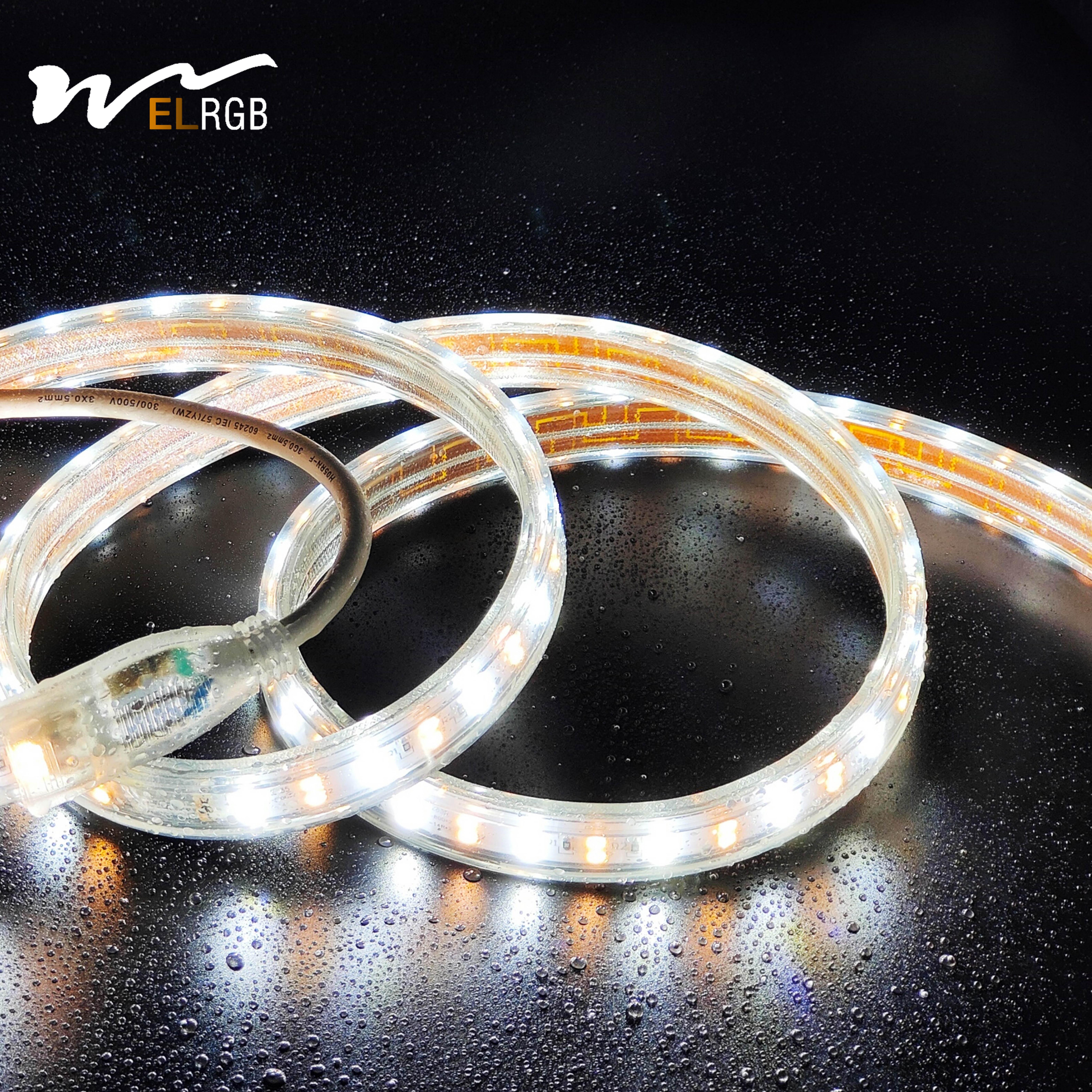 110V 220V LED Strip Light Outdoor Waterproof Dual Color White and Warm White Competitive