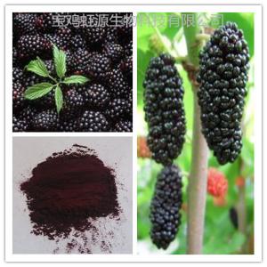 China High quality organic dried Mulberry Fruit Extract powder factory