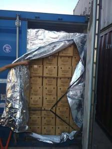 China Aluminum Film 20FT Dry Bulk Liner Container Powder Transportion factory