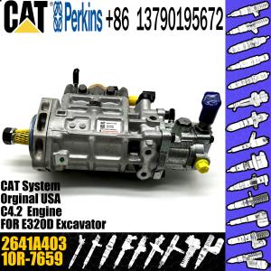 China CAT Cummins Injection Pump FOR 295-9125 10R-7659 2641A403 factory