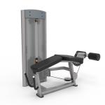 Pin Loaded Biceps Curl Machine for Arms Strength Training and Body Building