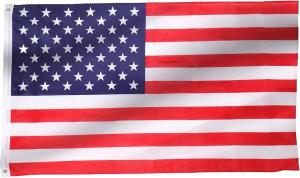 China Double Sided National 3x5 Or Custom Size For Election Voting Or Waving Flag factory