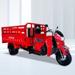 Motorized 200cc Petrol Passenger Tricycle with Super Galaxy Design in South