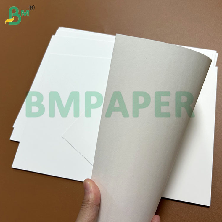 210gsm 230gsm Solid Bleached Sulfate C1S Paper For Folding Box  70 x 100cm 