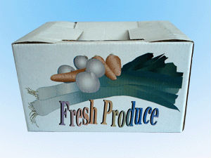 Durable corrugated packing box,file box for ship