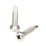 Top Performance Sus304 Stainless Steel Self Drilling Screw with Phillips Cross