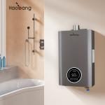 Gas Pressure NG 2000Pa /LPG 2800Pa Forced Exhaust Gas Water Heater With Overheat