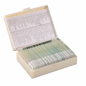 China Homeschool Teaching 30pcs Human Tissue Microscope Slides On Basic Science factory