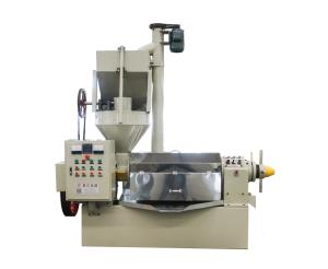 China coldpress Automatic Oil Press Machine Black Sesame Oil Press Coconut Oil Expeller factory