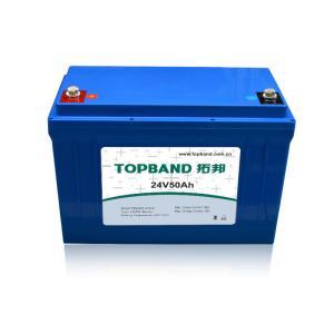 China Customized UPS Rechargeable Batteries Eco - Friendly TB2450F-M110A factory