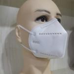 2 Ply Earloop 3D Protective N95 Respirator Mask For Air Pollution